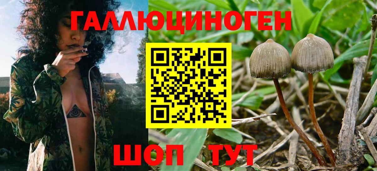 Псилоцибиновые грибы Magic Shrooms Стрежевой
