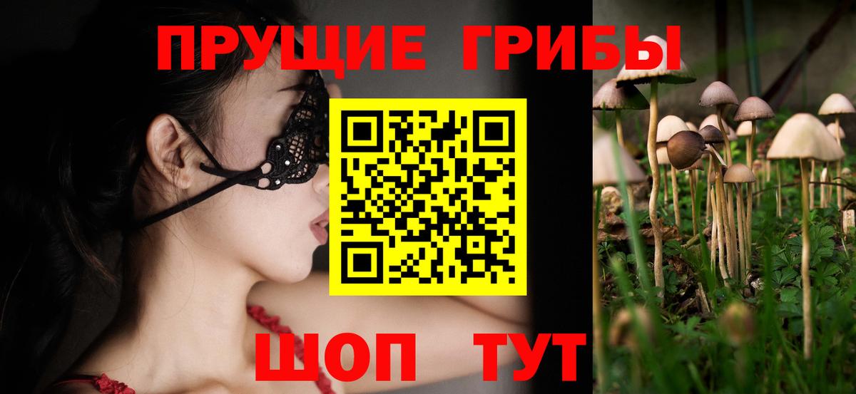закладка  Вход с VPN  Стрежевой  Псилоцибиновые грибы MAGIC MUSHROOMS  Галлюциногенные грибы мицелий 